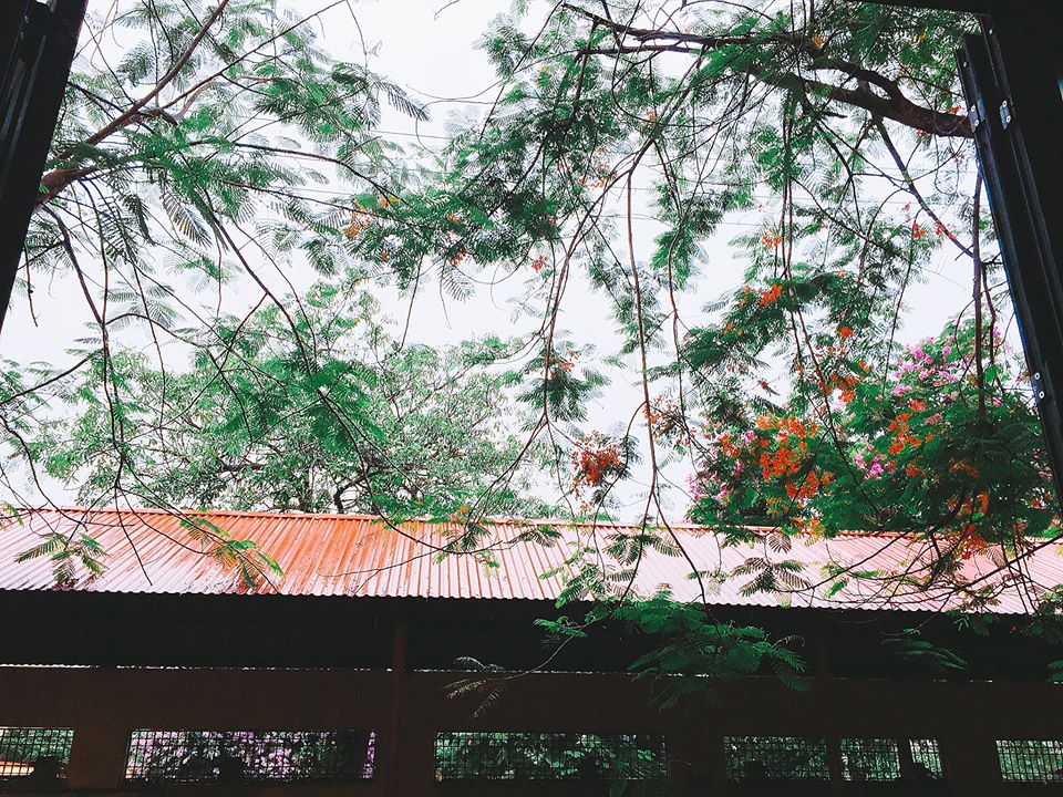 Gửi Chuyên – Thời thanh xuân tuyệt vời nhất