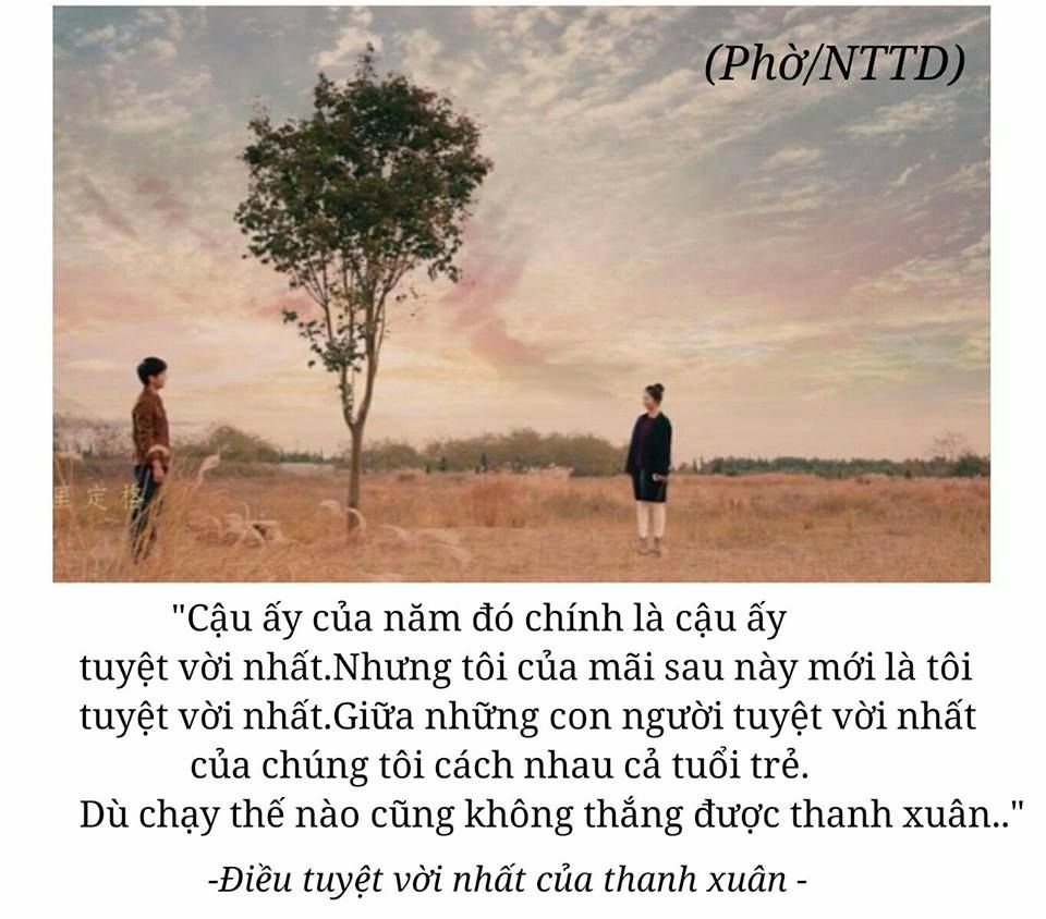 Rồi Ta Sẽ Lại Yêu